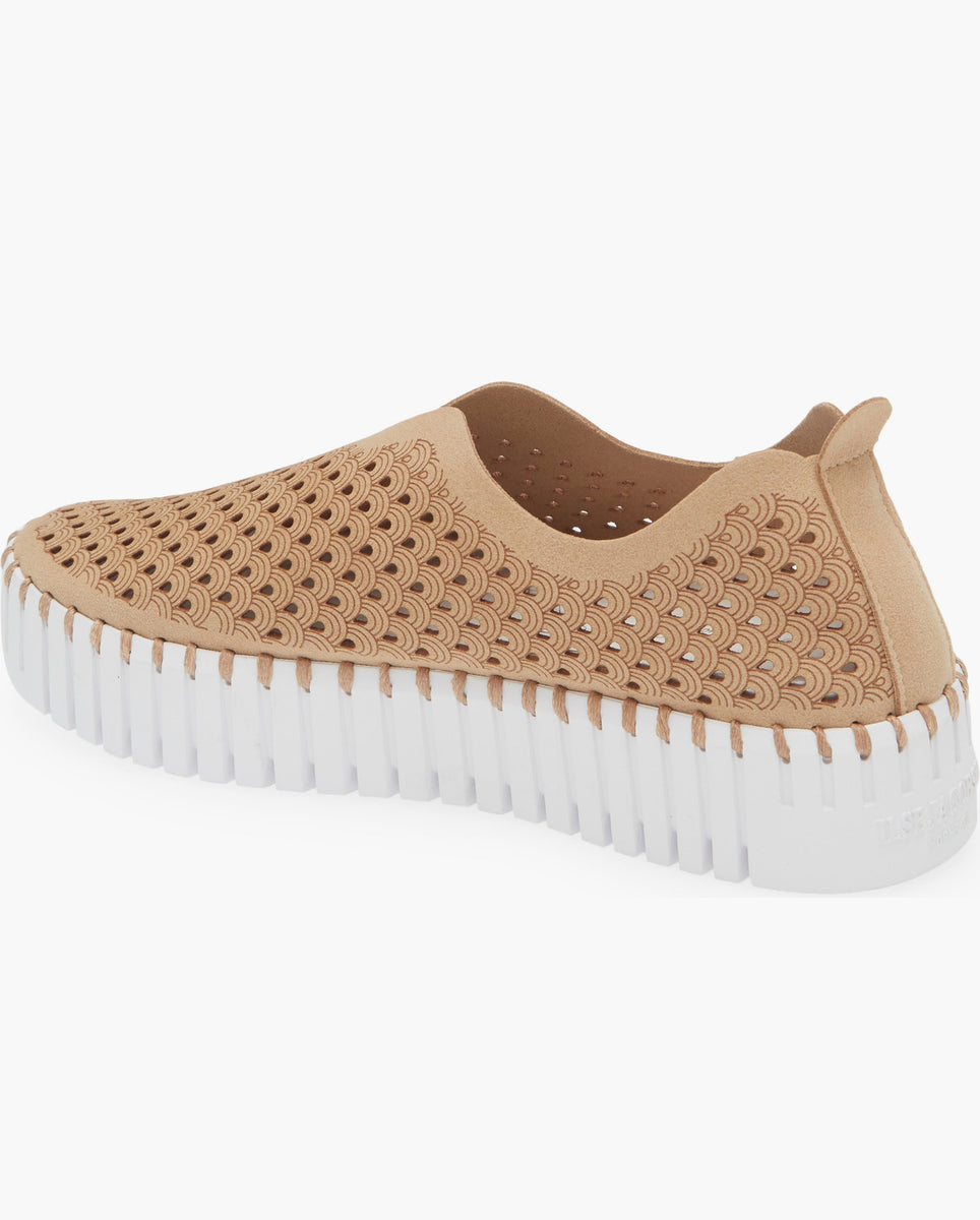 Ilse Jacobsen Tulip Latte â Hollistercomfortshoes
