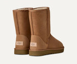 Ugg Women’s Classic Short ll Chestnut