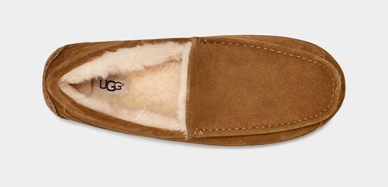 UGG Men’s Ascot Chestnut