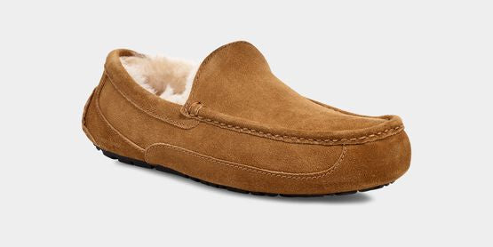 UGG Men’s Ascot Chestnut