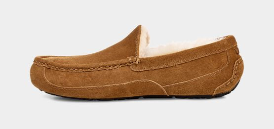 UGG Men’s Ascot Chestnut