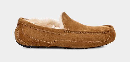 UGG Men’s Ascot Chestnut